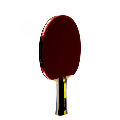 Sanwei TAIJI 310 Professional Table Tennis Racket