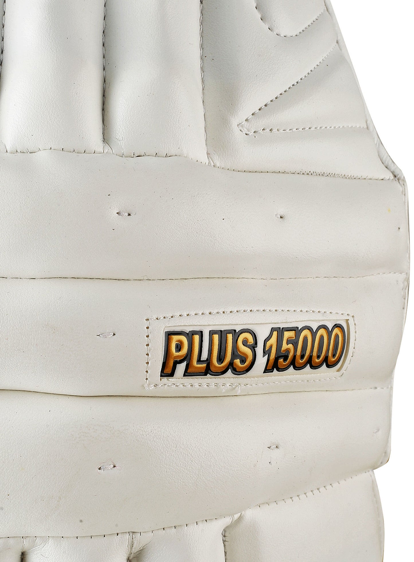 CA Plus 15000 Batting Pads