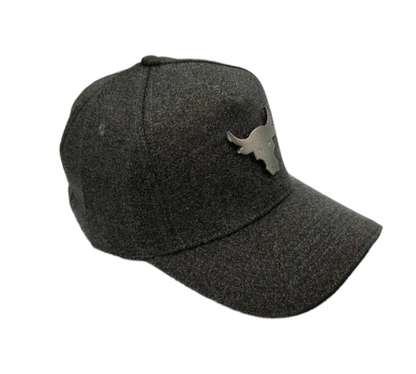 Under Armour Project Rock Bull Cap - Grey