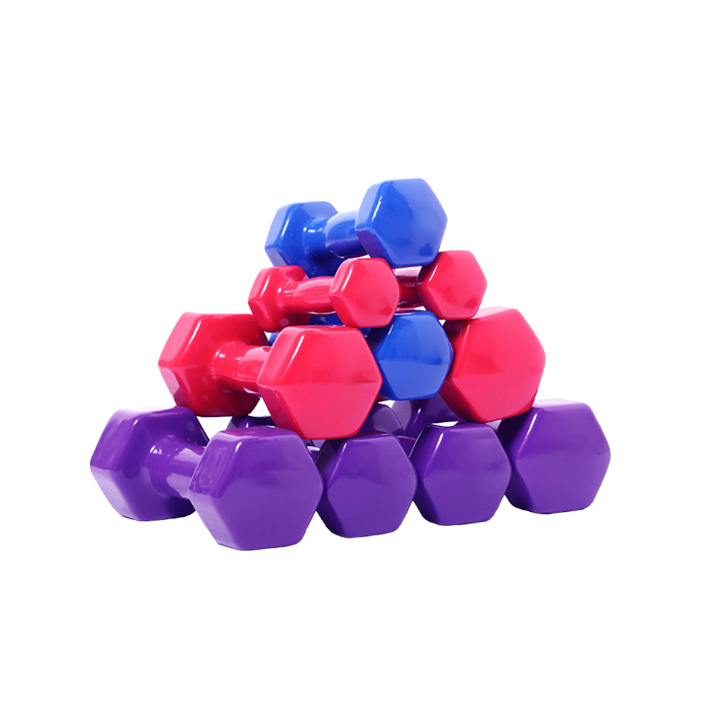 Sonecs Vinyl Coated Dumbbells - Pair